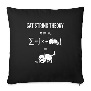 Théorie des cordes de chat - Sciences - Housse de coussin décorative 45 x 45 cm - noir - Devant
