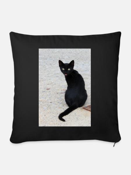 Katze schwarz - Sofakissenbezug 45 x 45 cm - Schwarz