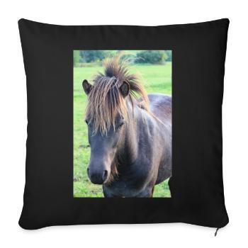 Pferd Pferdeposter - Sofakissenbezug 45 x 45 cm - Schwarz - Vorne