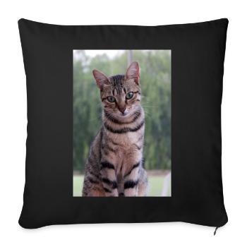 Cat Kitten - Sofa pillowcase 17,3'' x 17,3'' (45 x 45 cm) - black - Front