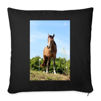 Pferd Pferdeposter - Sofakissenbezug 45 x 45 cm - Schwarz - Vorne