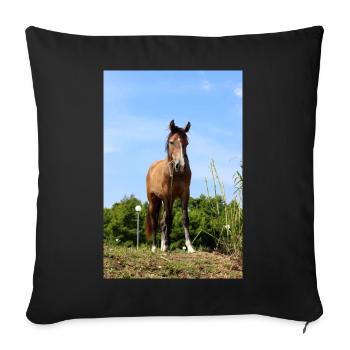 Horse Horse Poster - Sofa pillowcase 17,3'' x 17,3'' (45 x 45 cm) - black - Front