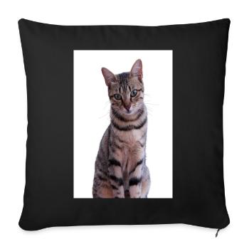Chat Chats Chaton Chat Tigre - Housse de coussin décorative 45 x 45 cm - noir - Devant