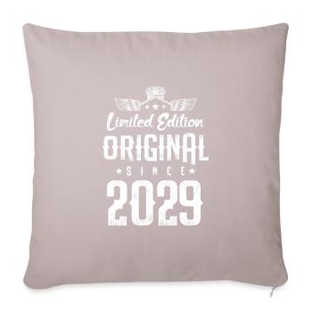 2029 limited edition - Sofa pillowcase 17,3'' x 17,3'' (45 x 45 cm) - light taupe - Front