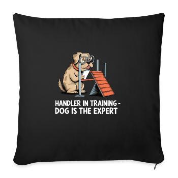 Agility - Sofakissenbezug 45 x 45 cm - Schwarz - Vorne
