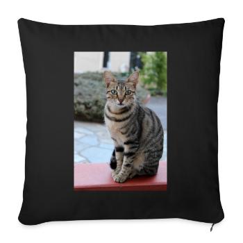 chat, chaton - Housse de coussin décorative 45 x 45 cm - noir - Devant
