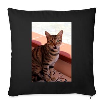 chat, chaton - Housse de coussin décorative 45 x 45 cm - noir - Devant