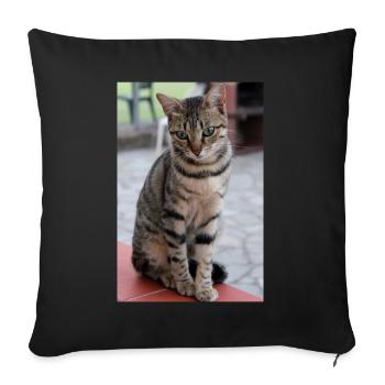 chat, chaton - Housse de coussin décorative 45 x 45 cm - noir - Devant