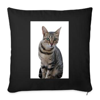 Cat Cat Black Kitten - Sofa pillowcase 17,3'' x 17,3'' (45 x 45 cm) - black - Front