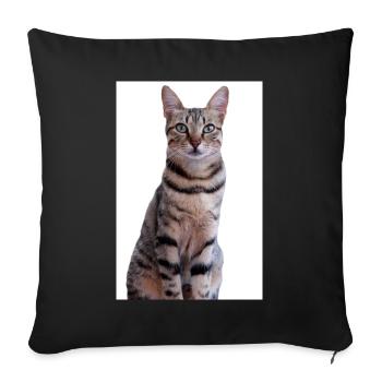 Cat Kitten - Sofa pillowcase 17,3'' x 17,3'' (45 x 45 cm) - black - Front