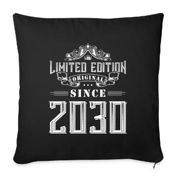 2030 limited edition - Sofa pillowcase 17,3'' x 17,3'' (45 x 45 cm) - black - Front