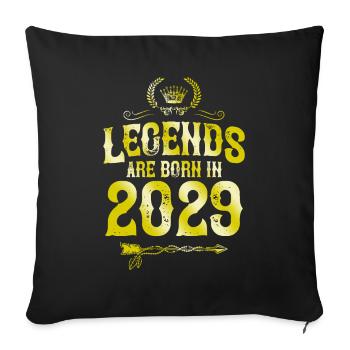 2029 legends born in - Sofa pillowcase 17,3'' x 17,3'' (45 x 45 cm) - black - Front
