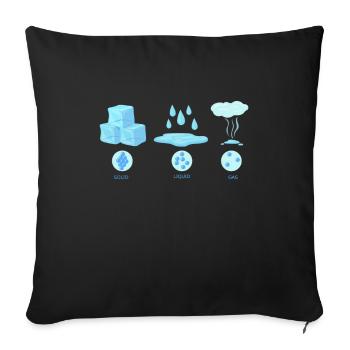 Physical state water - Sofa pillowcase 17,3'' x 17,3'' (45 x 45 cm) - black - Front