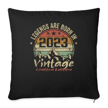 Legends were born in 2023 - 2023 - Sofa pillowcase 17,3'' x 17,3'' (45 x 45 cm) - black - Front