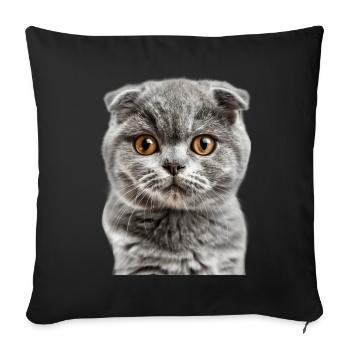 Chat écossais à oreilles repliées - Housse de coussin décorative 45 x 45 cm - noir - Devant