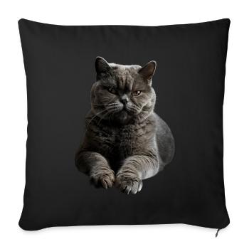 British Shorthair - Housse de coussin décorative 45 x 45 cm - noir - Devant