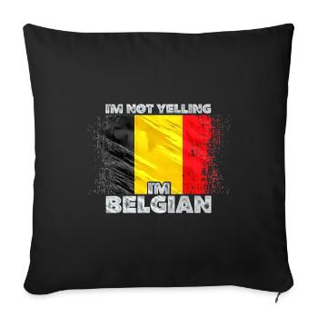 Belgium - Sofa pillowcase 17,3'' x 17,3'' (45 x 45 cm) - black - Front