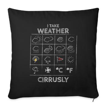 I Take Weather Meteorologe Wetter Himmel - Sofakissenbezug 45 x 45 cm - Schwarz - Vorne