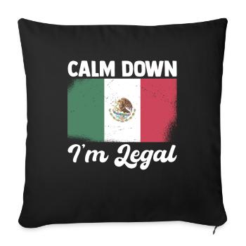 Mexico Souvenir - Cool North America Travel - Sofa pillowcase 17,3'' x 17,3'' (45 x 45 cm) - black - Front