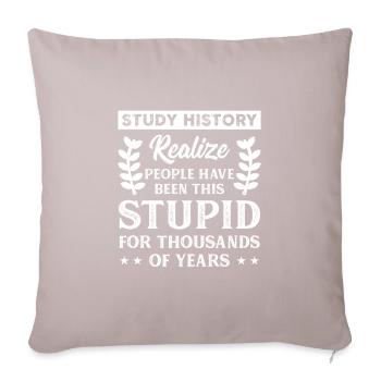 Histoire professeur étudiant historien cadeau - Housse de coussin décorative 45 x 45 cm - taupe clair - Devant