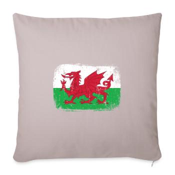 Wales Patriot - Housse de coussin décorative 45 x 45 cm - taupe clair - Devant
