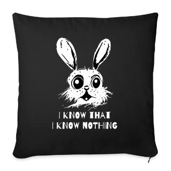 I Know That I Know Nothing - A Wise Rabbit - Sofa pillowcase 17,3'' x 17,3'' (45 x 45 cm) - black - Front