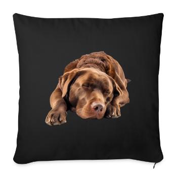 Chesapeake Bay Retriever - Sofa pillowcase 17,3'' x 17,3'' (45 x 45 cm) - black - Front