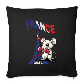 JEUX FRANCE A PARIS EN 2024 - HUMOUR RAT BOXE - Housse de coussin décorative 45 x 45 cm - noir - Devant