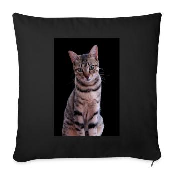Chat chat chaton doux - Housse de coussin décorative 45 x 45 cm - noir - Devant
