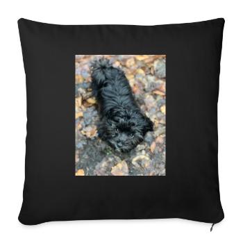 Havaneser forever - Sofakissenbezug 45 x 45 cm - Schwarz - Vorne
