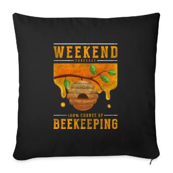 Beekeeper honeycomb insect beekeeping - Sofa pillowcase 17,3'' x 17,3'' (45 x 45 cm) - black - Front