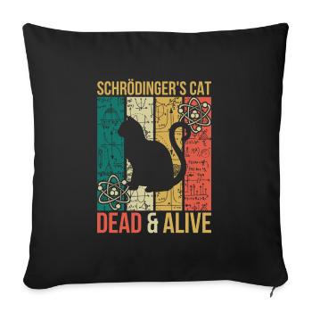 Physics thought experiment Schrödinger's cat - Sofa pillowcase 17,3'' x 17,3'' (45 x 45 cm) - black - Front