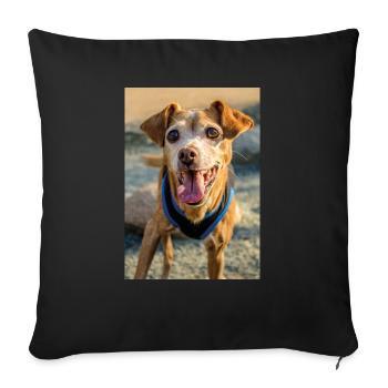 Hunde Portrait im Freiem - Sofakissenbezug 45 x 45 cm - Schwarz - Vorne