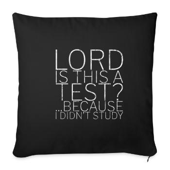 Lord Is This A Test, Because I Didn't Study 3 - Sofa pillowcase 17,3'' x 17,3'' (45 x 45 cm) - black - Front