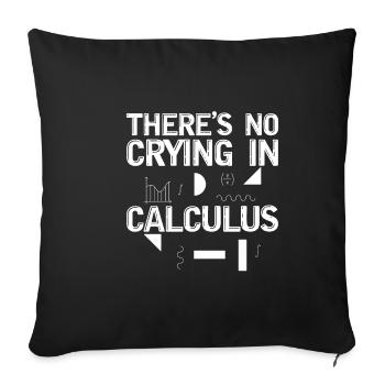 There's No Crying In Calculus 2 - Sofa pillowcase 17,3'' x 17,3'' (45 x 45 cm) - black - Front
