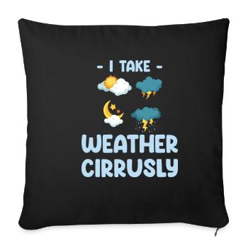 I Take Weather Cirrusly Funny - Sofa pillowcase 17,3'' x 17,3'' (45 x 45 cm) - black - Front