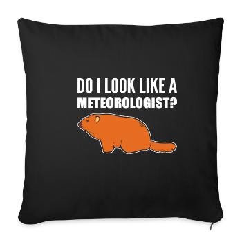Look like meteorologist Sarcastic Person Gesch - Sofa pillowcase 17,3'' x 17,3'' (45 x 45 cm) - black - Front