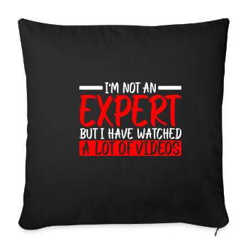 Not An Expert But I Have Watched A Lot Of Videos 3 - Sofa pillowcase 17,3'' x 17,3'' (45 x 45 cm) - black - Front