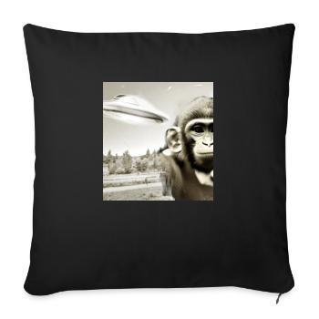 OVNI, singe, rétro, vintage, photo - Housse de coussin décorative 45 x 45 cm - noir - Devant