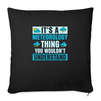 It's A Meteorology Thing You Wouldn't Understand W - Sofa pillowcase 17,3'' x 17,3'' (45 x 45 cm) - black - Front