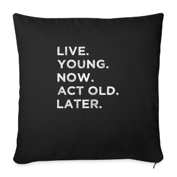 birthday present idea funny quote fun happy geek - Sofa pillowcase 17,3'' x 17,3'' (45 x 45 cm) - black - Front