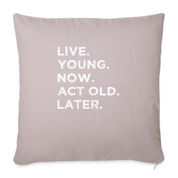 anniversaire cadeau idée drôle citation fun happy geek - Housse de coussin décorative 45 x 45 cm - taupe clair - Devant
