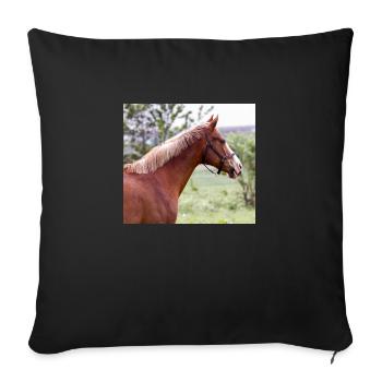 Cheval. Cheval. - Housse de coussin décorative 45 x 45 cm - noir - Devant