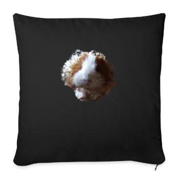 Cochon d’Inde Animal mignon Rongeur Cochon animal Cochon - Housse de coussin décorative 45 x 45 cm - noir - Devant