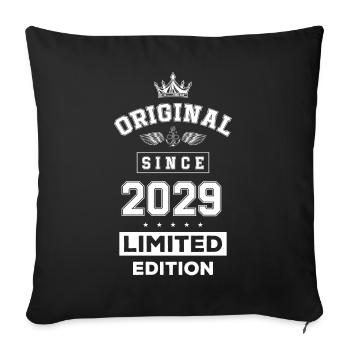 2029 limited edition birthday - Sofa pillowcase 17,3'' x 17,3'' (45 x 45 cm) - black - Front
