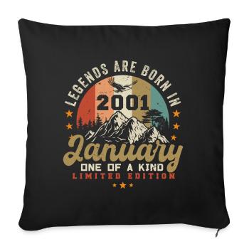 Januar Jahrgang 2001 - 23.Geburtstag Geschenk - Sofakissenbezug 45 x 45 cm - Schwarz - Vorne
