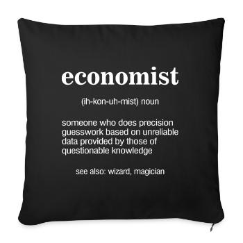 Economists Economics Gift - Sofa pillowcase 17,3'' x 17,3'' (45 x 45 cm) - black - Front