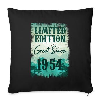 One of a kind since 1954 - Sofa pillowcase 17,3'' x 17,3'' (45 x 45 cm) - black - Front