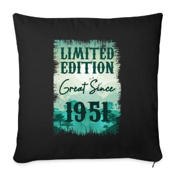 One of a kind since 1951 - Sofa pillowcase 17,3'' x 17,3'' (45 x 45 cm) - black - Front