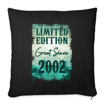 Einzigartig seit 2002 - Sofakissenbezug 45 x 45 cm - Schwarz - Vorne